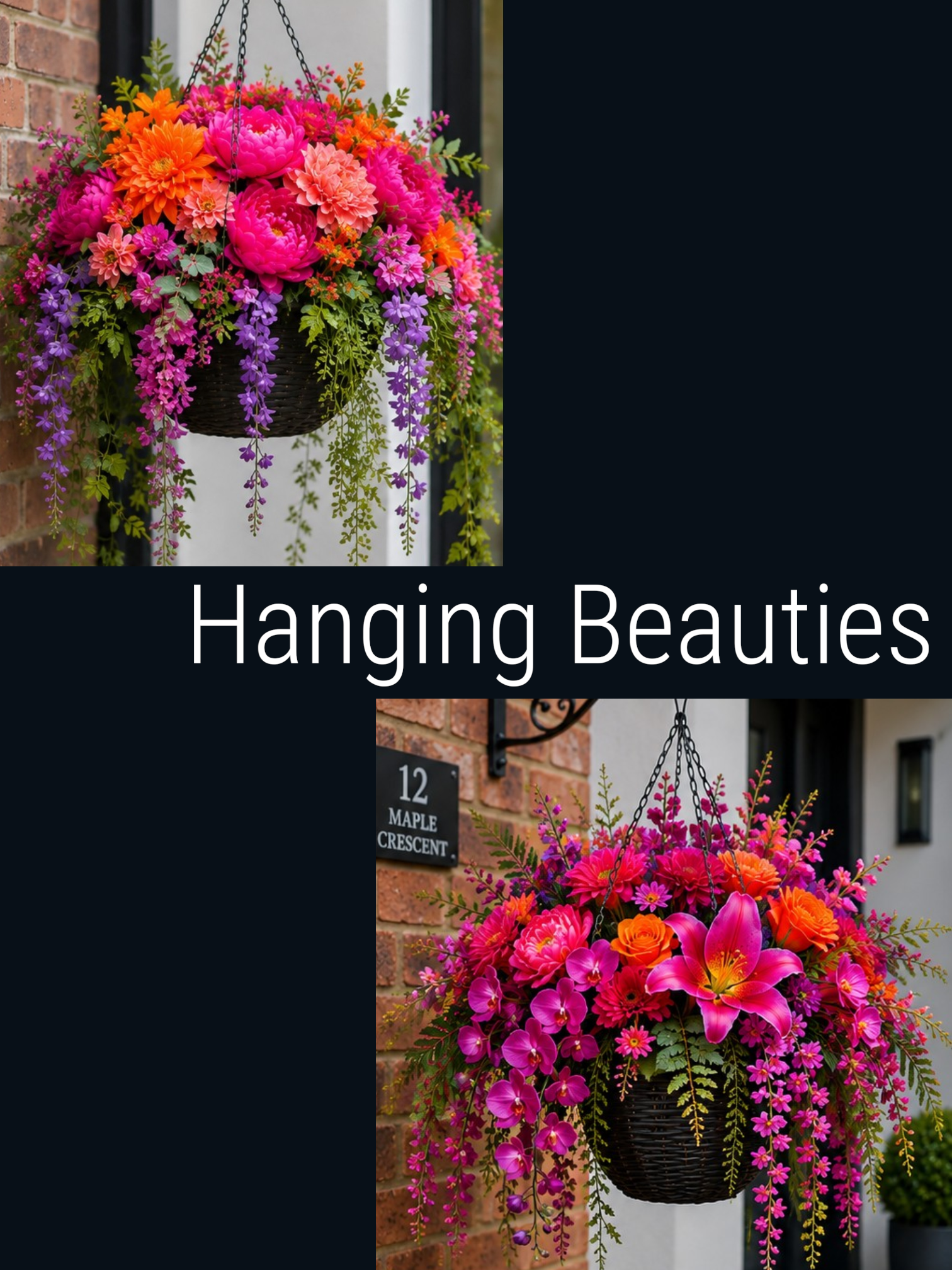 Hanging Beauties