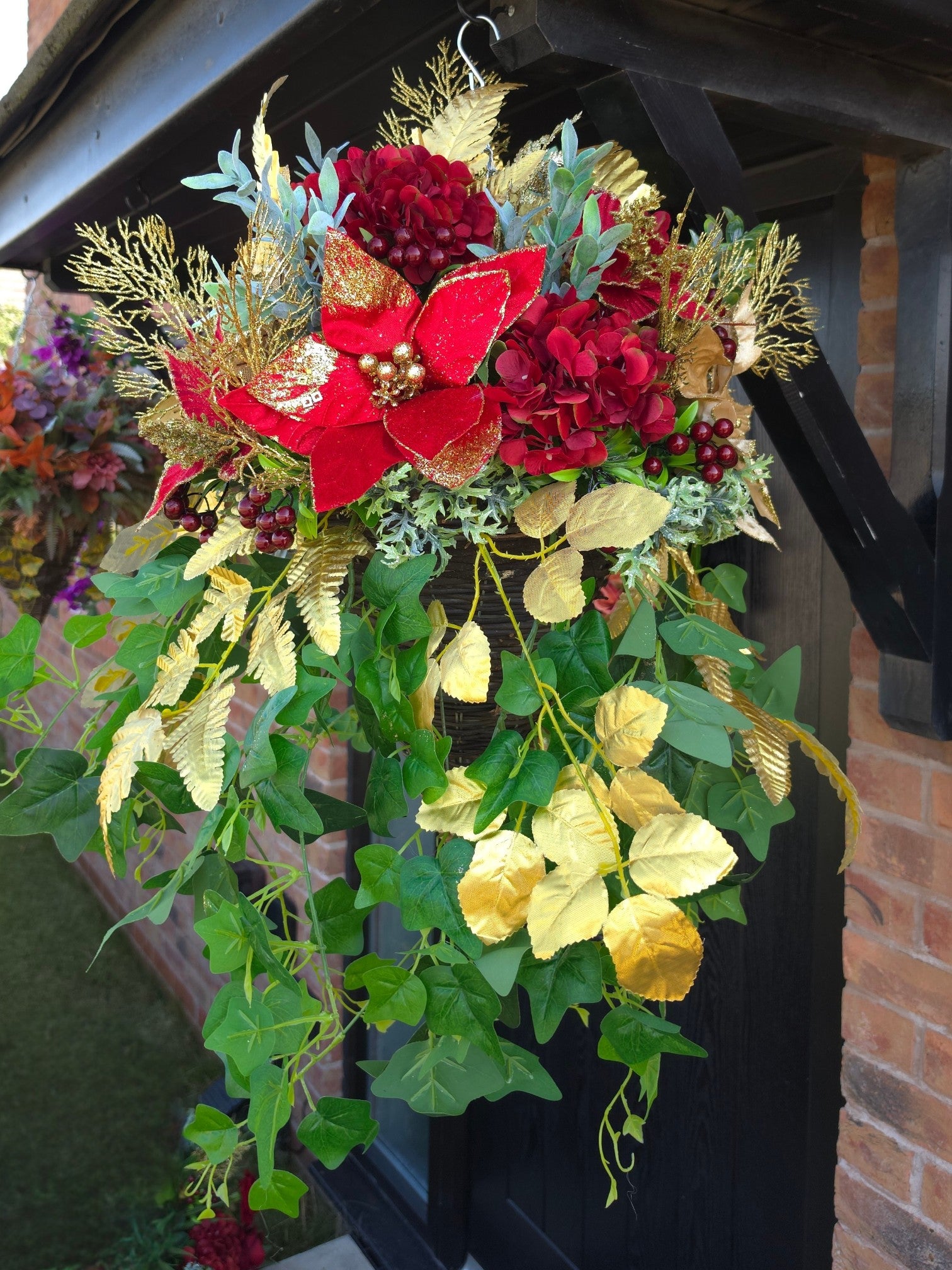 Miss Poinsettia