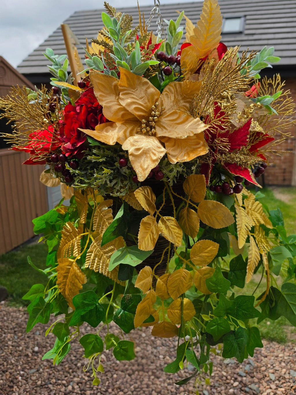 Miss Poinsettia