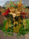 Miss Poinsettia