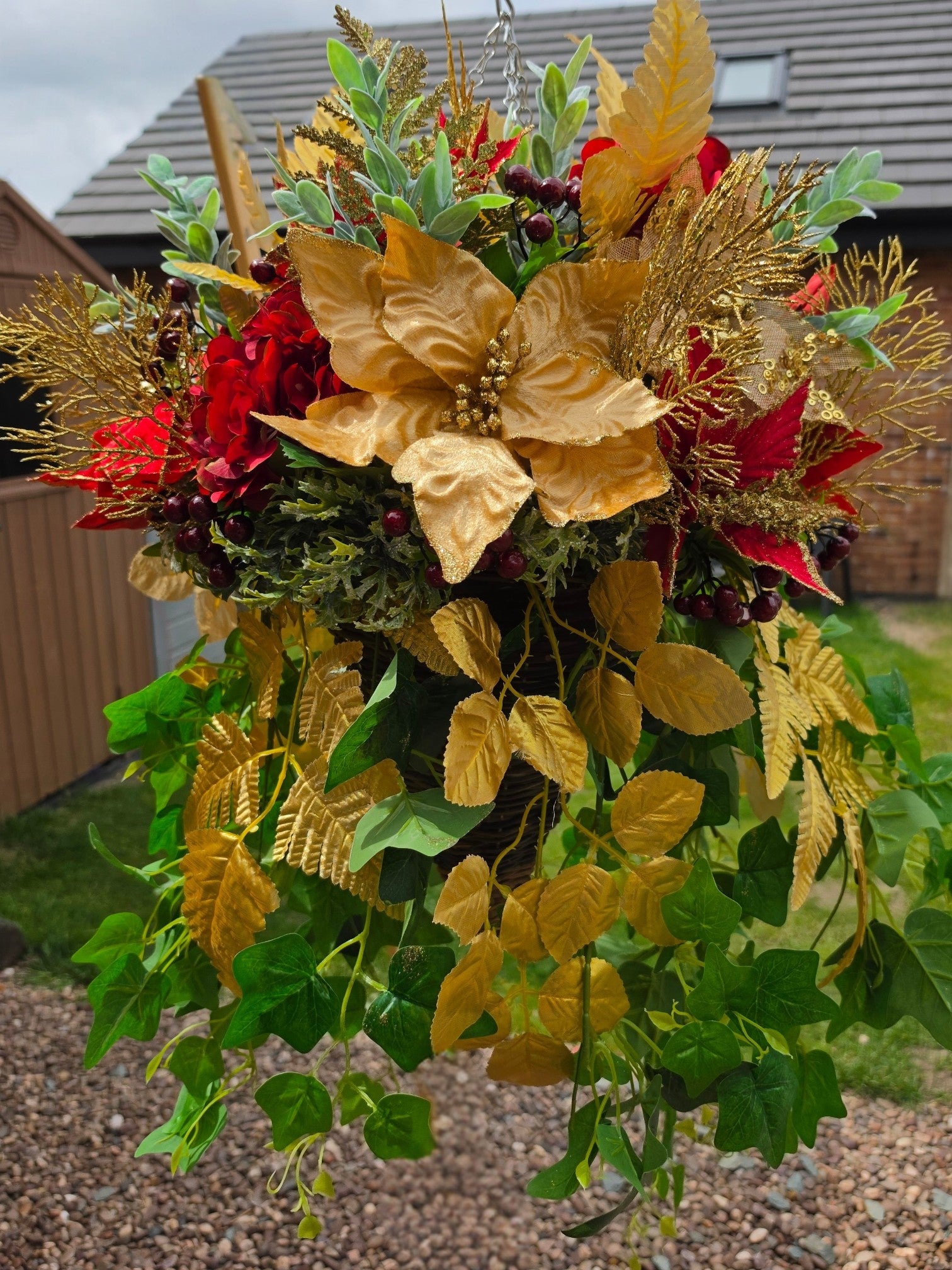 Miss Poinsettia