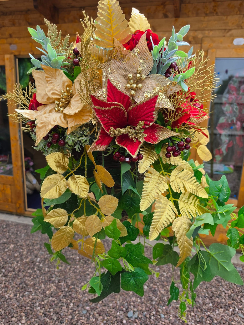 Miss Poinsettia